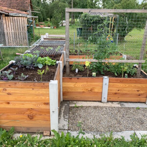 Potager d'angle en béton
