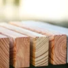 Moderne Sitzbank mit abgerundeten Füßen aus Beton und längs verlaufenden Holzlatten steht in einer öffentlichen Grünanlage.