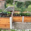 Bepflanztes Hochbeet über Ecke aus Lärchenholz und Beton steht in einem privaten Garten mit viel Grün