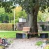 Baumbank aus Holz und Metall als Rundbank und Mehreckbank